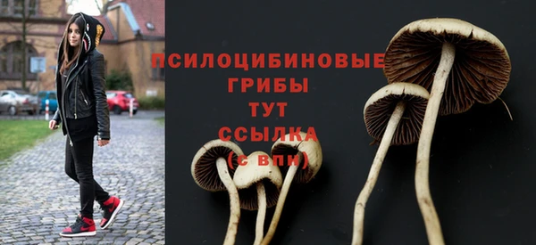 ALPHA PVP Нефтекумск