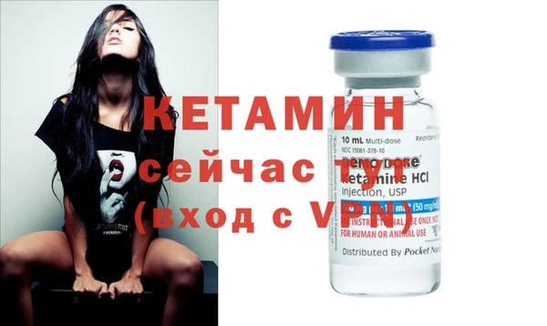 гидра Няндома