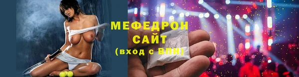 гидра Няндома