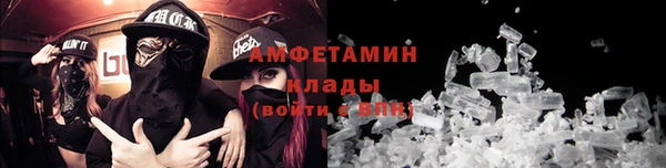 гидра Няндома