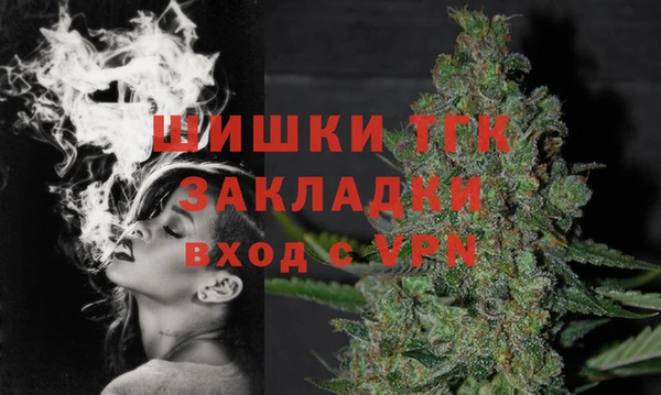 гидра Няндома