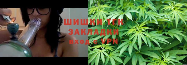 гидра Няндома