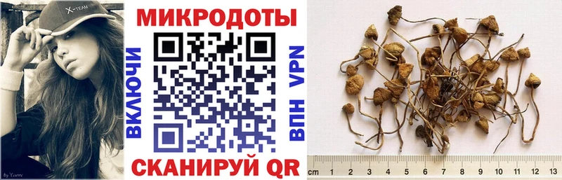 Псилоцибиновые грибы GOLDEN TEACHER  OMG ссылки  Ленск  цены  